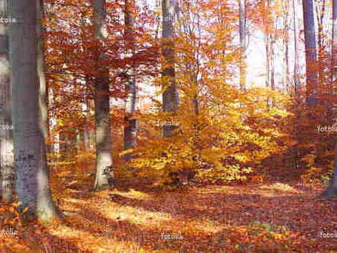  Ansicht Attraktion  in Warschau 