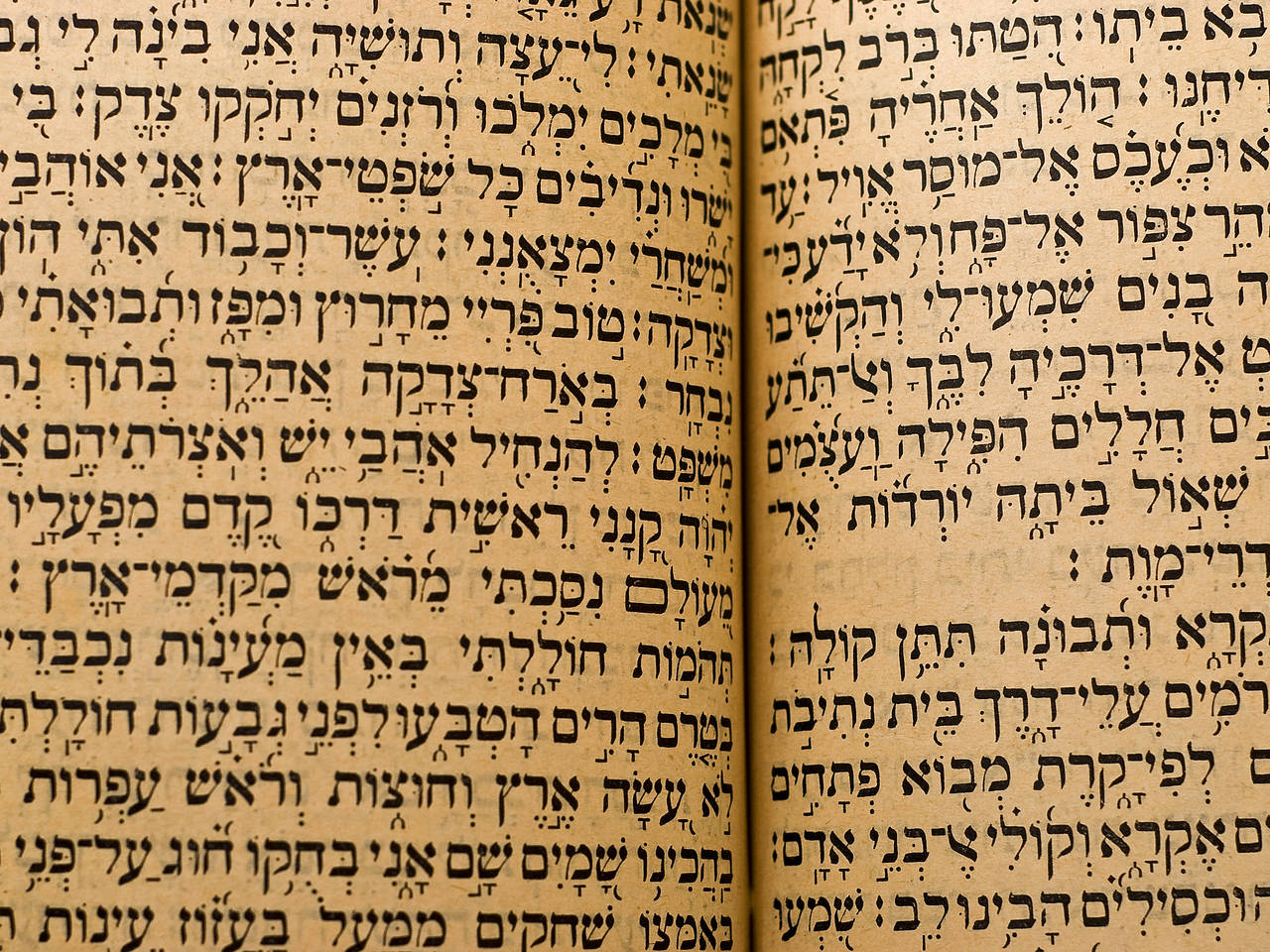 Foto Nozyków-Synagoge - Warschau