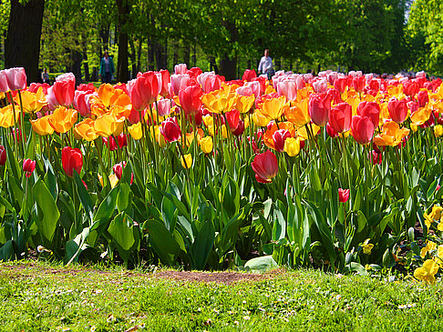 Saski-Park - Polen (Warschau)